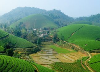 Du lịch Mai Châu nên đi mùa nào là đẹp nhất trong năm?