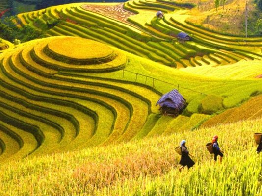 Chia sẻ kinh nghiệm du lịch Hà Giang mùa thu từ A - Z dành cho bạn