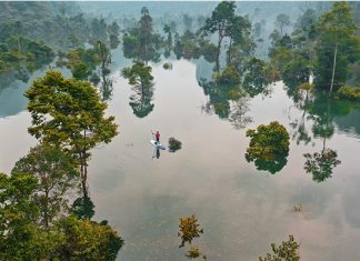 Tổng hợp những kinh nghiệm du lịch Quảng Bình mùa thu tuyệt đẹp