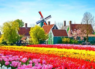 Thời điểm du lịch Hà Lan lý tưởng nhất dành cho du khách lựa chọn